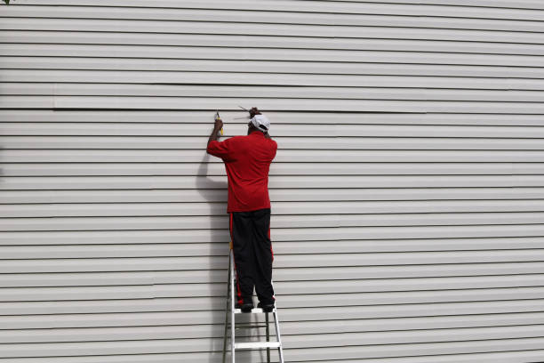 Storm Damage Siding Repair in Chesilhurst, NJ